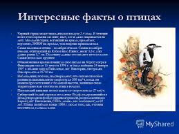 Copiii noştri sunt uimitor de valoroşi şi însemnaţi pentru dumnezeu, nu pentru că ar fi ei perfecţi, ci indiferent de ce spun sau ce fac. Clasa PÄƒsÄƒrilor Nota 7 Prezentare De Biologie Pe Tema Clasa PÄƒsÄƒrilor Clasa 7 Cea Mai Mare PasÄƒre