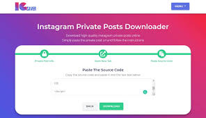 Find the reel video, or you want to download and copy the link of the video. Instagram Private Post Downloader Igsaver