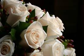 We speak with shoppers of every age and demographic who want to order flowers. What Do Flower Colors Mean In Relationships Pairedlife