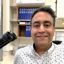 We are thrilled to congratulate Bruce Edgar, PhD, a researcher at Huntsman  Cancer Institute and professor at the University of Utah,