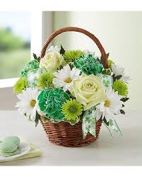 Patrick's day flowers and plants help you celebrate the luck of the irish. St Patrick S Day Flowers