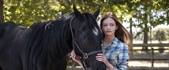 The worlds of a depressed psychologist. Black Beauty Movie Review Film Summary 2020 Roger Ebert