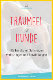 Traumeel Fur Hunde Wirkung Dosierung Erfahrungen