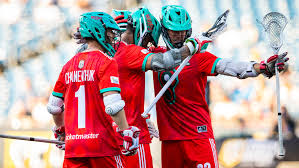 The season consisted of 24 episodes, which were filmed between march 14, 2013, and november 2, 2013. Pll Read Lacrosse Flash