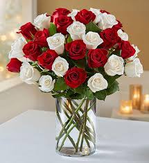 Maybe you would like to learn more about one of these? Red White Rose Vase 12 Or 24 Roses Main Florist