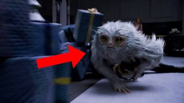 Identifying the Creatures of Fantastic Beasts And Where To Find Them Trailer