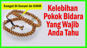 Bajamilagro #kebunbandar #baja pokok bidara terlampau sihat? Daun Bidara Posts Facebook