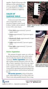 Dark And Light Core Plugs After Aeration Gardening