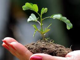 History, top tweets, 2021 date, facts, and things to do. World Environment Day India Facing Challenges In Achieving 9 Out Of 17 Sdgs Points State Of India Environment 2020 In Figures India News Times Of India