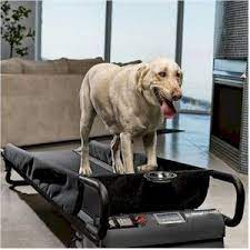 Dog Treadmill All Pet Cages Dog Treadmill Dog Treadmills Dog Exercise