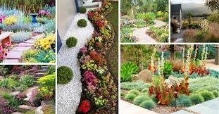 See more ideas about plants, drought tolerant landscape, front yard. 12 Best Drought Tolerant Landscaping Ideas For 2021 Decor Home Ideas