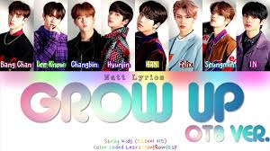 Stray kids finally debuted and i'm so excited for them! Stray Kids Skz2020 Collection