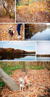 The hempstead lake dam project requires an engineering assessment of the current conditions at the historic hempstead lake. Hempstead Lake State Park Shio The Shiba