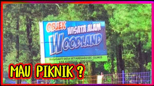 Kawasan ini punya hawa yang sejuk dan masih sangat asri. Woodland Tempat Wisata Di Kuningan Jawa Barat Youtube