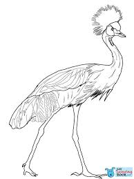 Black Crowned Night Heron Coloring Pages For Free Bird Coloring Pages Coloring Pages Free Printable Coloring Pages