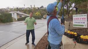 2528 crandall drive, san diego, ca 92111. Senior Gleaners Pick Surplus Fruit To Feed San Diego S Hungry Cbs8 Com