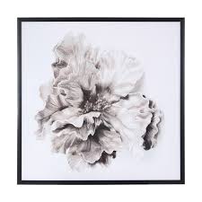 Framed Flower Print Kmart Flower Frame Art Flower Prints