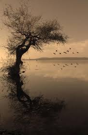 Reflection From Golyazi Nature Photography Pictures Scenic Landscape