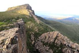 awildland: Seeing is believing