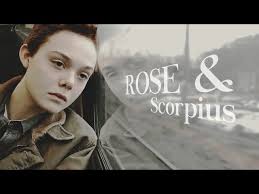 Do You Think Rose Weasley Should Be With Scorpius Malfoy? - Harry Potter  Respostas - Fanpop