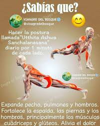 Pin De Grace Alfaro En Anti Estres Ejercicios De Estiramiento Estiramientos De Yoga Movimientos De Yoga