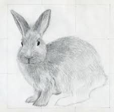 I think it's a bit messy. How To Draw A Rabbit