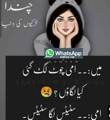 You will find the large collection of funny jokes for kids. Urdu Poetry Attitude Funny Status For Whatsapp In Urdu Bio Para Whatsapp