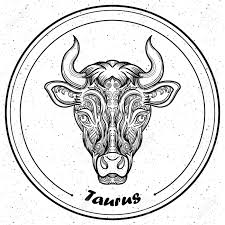 Download 382 taurus coloring stock illustrations, vectors & clipart for free or amazingly low rates! Detailed Taurus In Aztec Filigree Line Art Style Tattoo Coloring Royalty Free Cliparts Vectors And Stock Illustration Image 64863185
