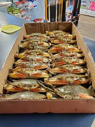 פרופיל של ‏‎Crabners‎‏‎