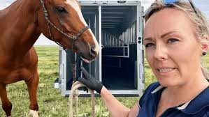 Crazy Trailer Loading