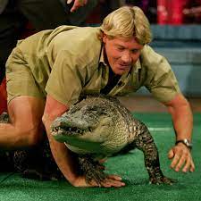 Steve irwin, troll irl, aka crocodile dundee, aka crocodile hunter, aka stringray hunted, lived in the wild for most of his life training bears for circuses. Crocodile Hunter Steve Irwin S Mission Was To Save Wildlife He Did Vox