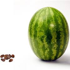 How Big Is My Baby This Week Heres Your Baby Fruit Size