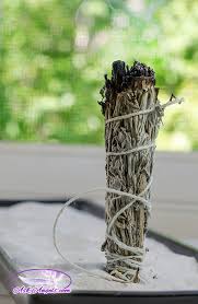 You know how after an awful roommate moves out, your place still kinda feels like an emotional crime scene? What To Say When Smudging A House 7 White Sage Uses