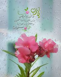 يارب والدنيا مطر بشر قلوبنا بما تتمنى واجعل دعواتنا مستجابة دعاء الوتر مطر Islamic Images Duaa Islam Winter Words
