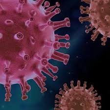 Although there is no mass testing for flu as there is for covid, the who says that surveillance of data from around the world shows flu rates collapsing everywhere. Coronavirus Greater West Bloomfield Civic Center Tv