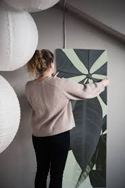 Image result for pachira obrázek