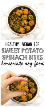 What about vegan puppy food? Sweet Potato Spinach Bites For Dogs Vegannie Healthy Dog Food Recipes Dog Food Recipes Make Dog Food