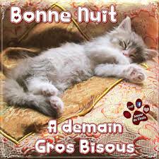 BELLE NUIT DOUX REVES MILLE BISOUS ♥