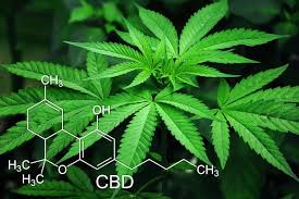 Most drug tests, or drug screenings as they are sometimes called, do not screen for the cbd compound found in hemp oils and other cbd products. Does Cbd Oil Show Up In Your Drug Tests Pt 1