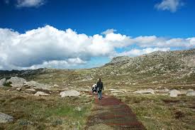 It probably won't surprise any geography buffs that virtually of america's tallest peaks are in the west, while most of the lowest high points are in the midwest and. We Bet You Don T Know Where Australia S Highest Point Is