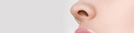 Unlike a breast augmentation or facelift, nose surgery involves altering the physical shape of a body part which you depend on every day for. Nasenplastik Rhinoplastik Nasenkorrektur Frankfurt Dr Med Holle