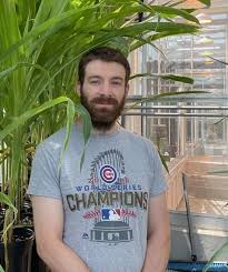 Image result for Smithia elliotii