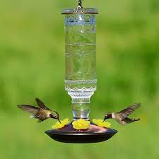 Consider that when hummingbirds feed from natural flowers, they spend very little time at any one some people feel that a hummingbird feeder should not be placed close to a window unless there's honey ferments rapidly when diluted with water and can kill hummingbirds. 10pcs Hummingbird Feeder Replacement Flowers Feeding Port Replacement Bird Feeder Replacement Parts For Hummingbird Feeder Hanging Feeder Walmart Com Walmart Com