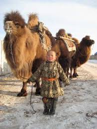 The compass and domesticated camels. 360 Mongolia Ideas Mongolia Ulaanbaatar Central Asia