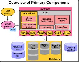 Oracle instance & oracle database. 2
