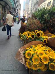 Flower District New York Flower Nyc Flower Shop Flower Shop