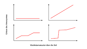 Nicht Rupturiertes Zufalliges Aneurysma Universitatsklinik