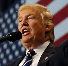 Debra Redfern (@Bobuta)