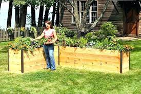 A raised bed liner will also allow water to drain away without taking soil with it. Raised Bed Brackets Raised Garden Bed Corner Precious Frame With Hardware Cloth Bed B Outdoor Garden Planters Raised Garden Beds Raised Garden Bed Corners