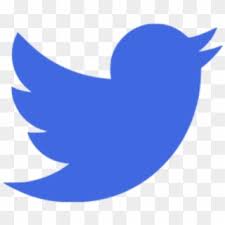 Download the vector logo of the twitter brand designed by twitter in adobe®. Free Blue Twitter Logo Png Png Transparent Images Pikpng